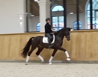 Follow Up (by Follo Him's Schönweide x Diamond Hit x Londonderry) 