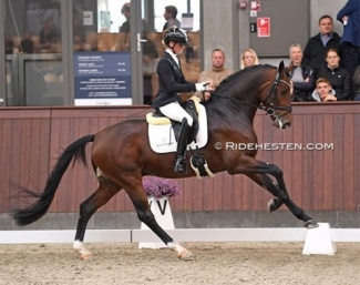 Mette Sejbjerg Jensen and Be Sure at the 2022 Danish Young Horse Championships :: Photo © Astrid Appels