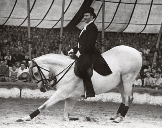 Fredy Knie senior and his first self trained High School horse, the grey Hungarian bred Rablo shortly after the war in 1946 :: Photo © Archive Circus Knie