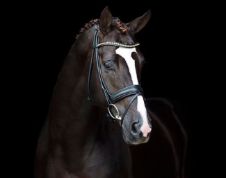 Ferguson :: Photo © rom Vermunt