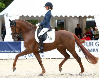 High Light S (by Floriscount x Damon Hill) under Patricia Seddig at the 2022 Oldenburg Young Horse Championship in Rastede
