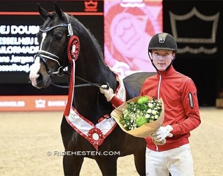 Anders Sjobeck Hoeck and premium stallion Hesselhøj Double Up at the 2023 Danish warmblood stallion licensing :: Photo © Ridehesten