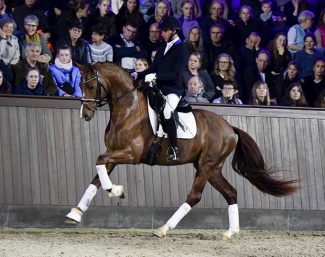 Cristian Tudela Ruiz and Blue Hors Solution Unik at the Blue Horse Open House day :: Photo © Ridehesten