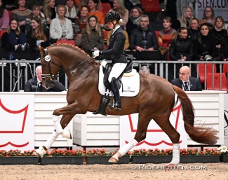 Mette Sejbjerg Jensen and Viva Vegas at the 2024 Danish Warmblood Stallion Licensing :: Photo © Ridehesten