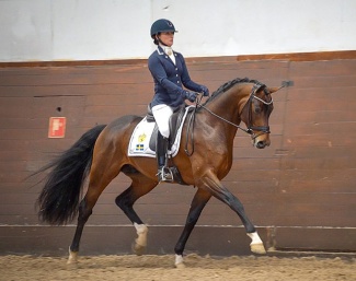 Minna Telde and Devin Franco GJ at the 2024 SWB Stallion Performance Test :: Photo © Michaela Swärd/SWB