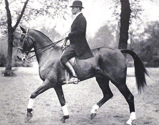 Richard Wätjen riding Donner in Berlin in 1926 :: Photo © Menzendorf