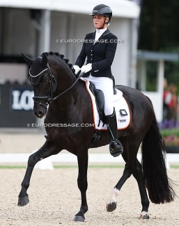 Obsession Taonga at the 2024 World Young Horse Championships :: Photo © Astrid Appels
