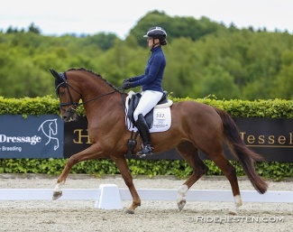 Betina Jaeger on Fredensdals Impressive (by Imposantos x De Noir) :: Photo © Ridehesten