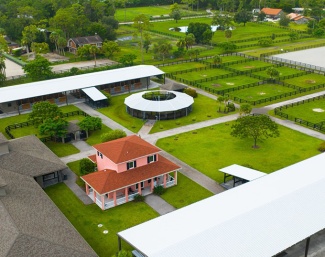 Poinciana Farm