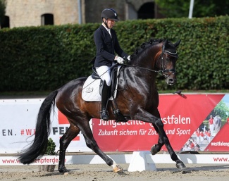 Belgian Dries van Dijck on the 4-year old stallion Du Weißt Schon Wer :: Photo © LL-foto