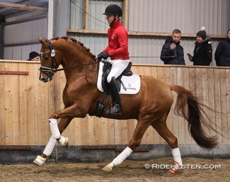 Test rider Allan Skov on Daan G at the 2025 DWB Stallion performance test :: Photo © Ridehesten