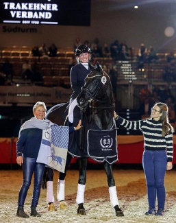 Herakles was named Trakehner Stallion of the Year 2025 in Neumunster :: Photo © Stefan Lafrentz