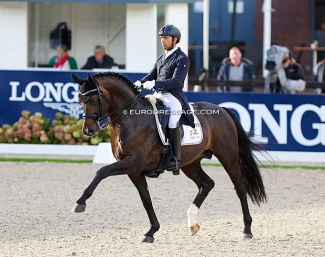 Escamillo at the 2022 World Young Horse Championships in Ermelo :: Photo © Astrid Appels