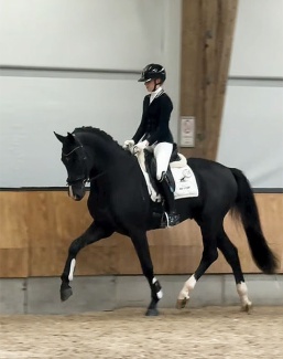 Dominique van Dalsen and Sir Vegas at the saddle presentation for the KWPN spring performance test