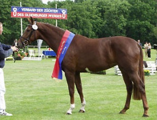 Fabina at the 2003 Oldenburg Elite Mare Show :: Photo © Astrid Appels