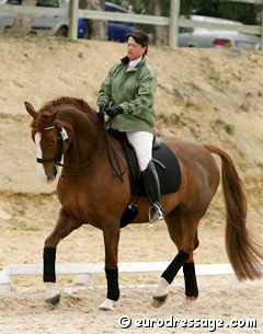 Jane Lawson on Giorgio S at the 2005 Sunshine Tour :: Photo © Astrid Appels