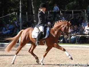 Voyager at the 2006 Bundeschampionate :: Photo © Barbara Schnell