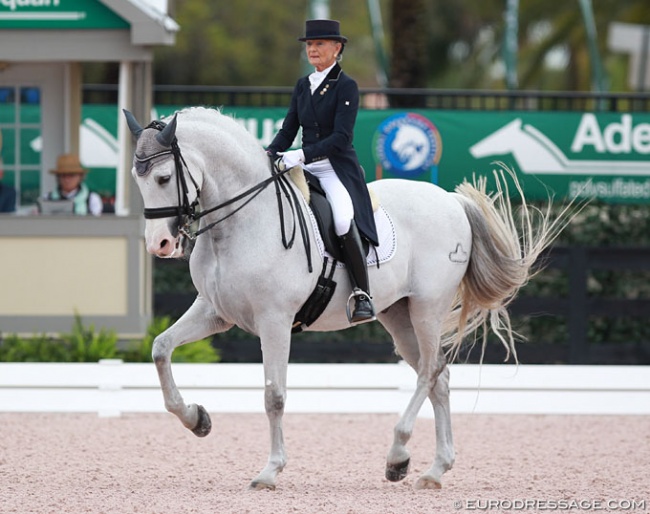 Janne Rumbough and Junior at the 2015 CDI Wellington :: Photo © Astrid Appels