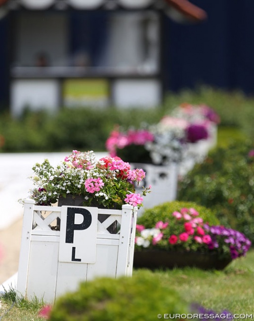 Arena decoration with judge's box in the background :: Photo © Astrid Appels