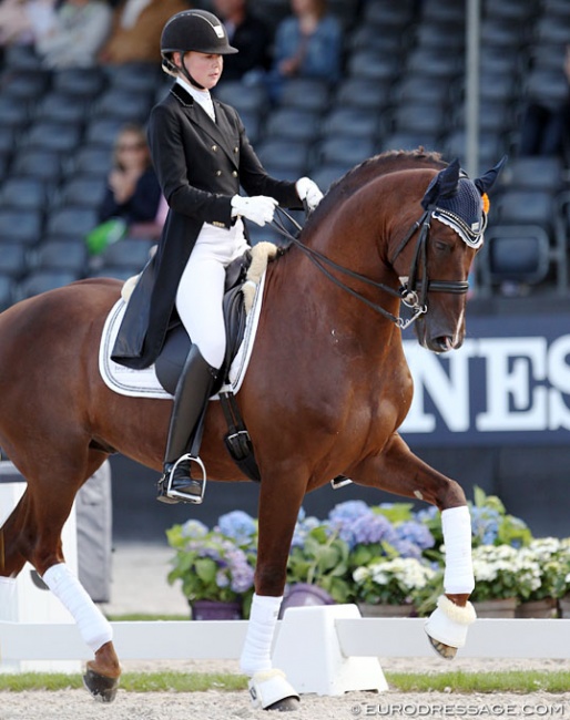 Silje Bakken and Bogegardens Santiago at the 2017 World Young Horse Championships :: Photo © Astrid Appels
