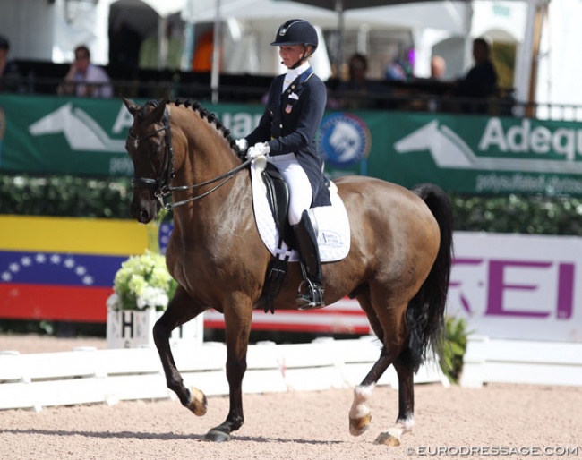 Katherine Bateson Chandler and Alcazar at the 2018 CDI Wellington :: Photo © Astrid Appels