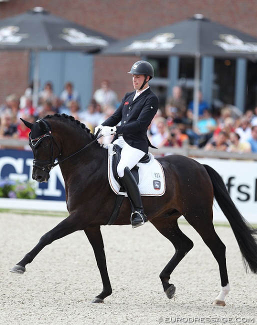 Fior at the 2017 World Young Horse Championships :: Photo © Astrid Appels