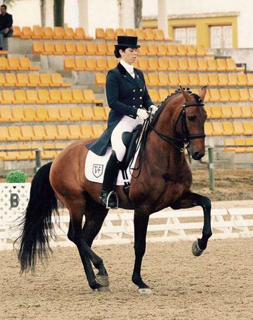 Maria Amaral on Fidalgo TVF at the 2018 CDI Alter do Chao :: Photo © Aurelio Grilo