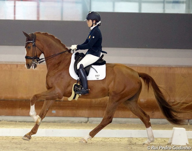Maria Guerrero Galve and Gustaaf at the 2018 CDI Segovia :: Photo © Rui Pedro Godinho