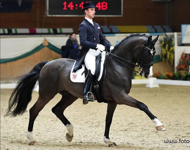 Benjamin Werndl and Daily Mirror at the 2018 CDI Wiener Neustadt :: Photo © Rainer Dill