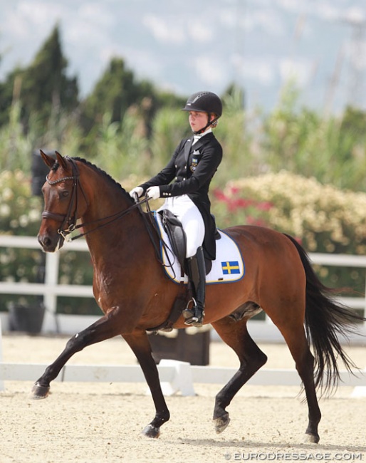 Jennifer Lindvall on Jazzmatazz at the 2016 European Junior Riders Championships :: Photo © Astrid Appels