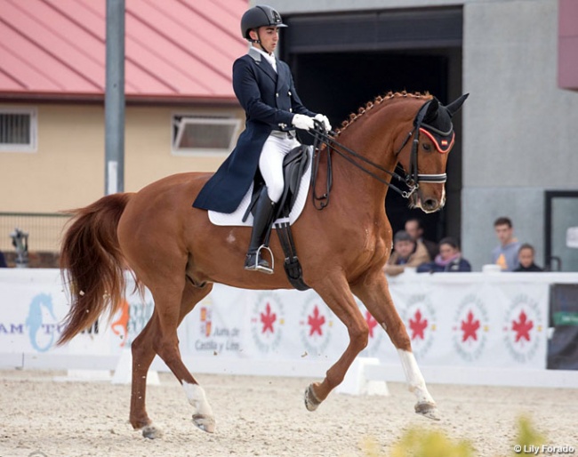 Juan Jose Gonzalez de las Cuevas and Denksport at the 2018 CDI Segovia :: Photo © Lily Forado