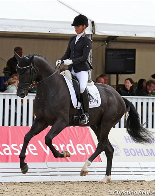 Isabel Freese and De Valier at the 2013 Hanoverian Young Horse Championship in Verden :: Photo © Christina Beuke