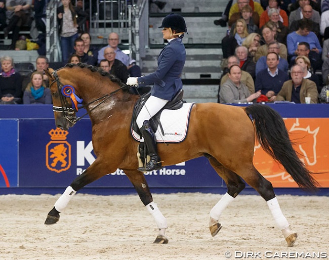 Jose Veltman and Alexandro P at the 2015 KWPN Stallion Licensing :: Photo © Dirk Caremans