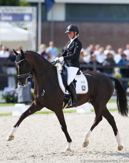 Lordswood Dancing Diamond wins the 2017 World Young Horse Championships :: Photo © Astrid Appels