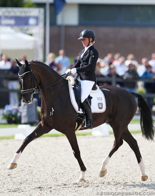 Lordswood Dancing Diamond wins the 2017 World Young Horse Championships :: Photo © Astrid Appels