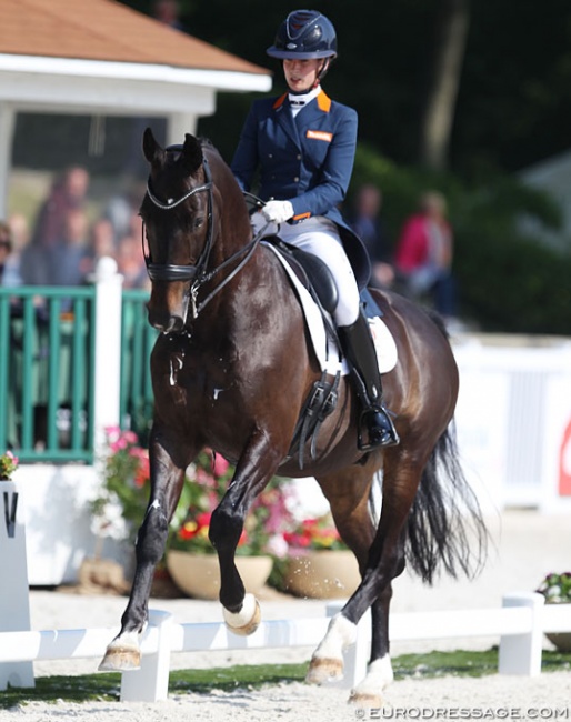 Katja Gevers and Thriller at the 2018 CDIO Compiègne :: Photo © Astrid Appels