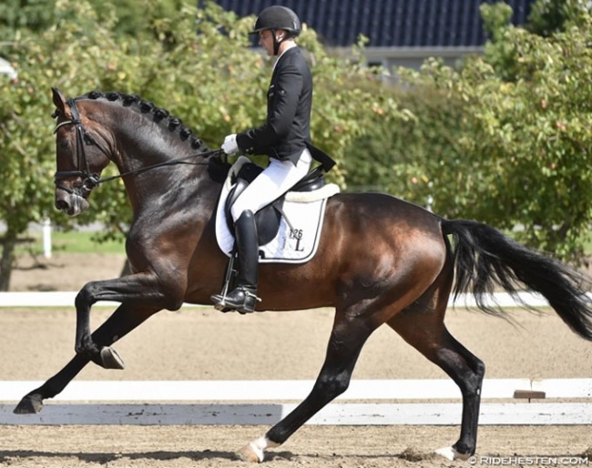 Andreas Helgstrand and the auction record price horse Revolution :: Photo © Ridehesten