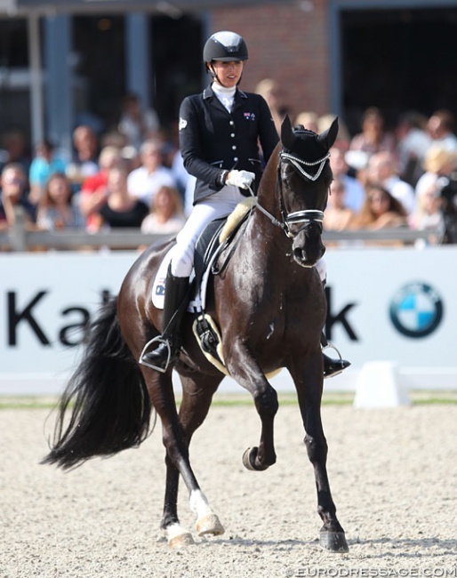 Simone Pearce and Feodoro at the 2017 World Young Horse Championships :: Photo © Astrid Appels