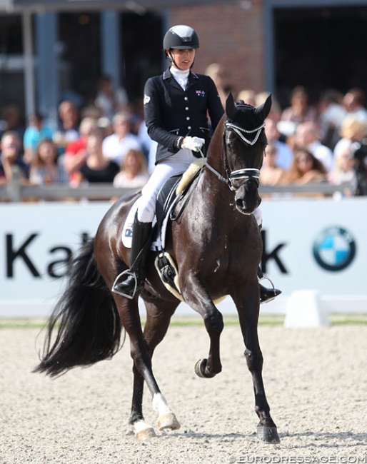 Simone Pearce and Feodoro at the 2017 World Young Horse Championships :: Photo © Astrid Appels