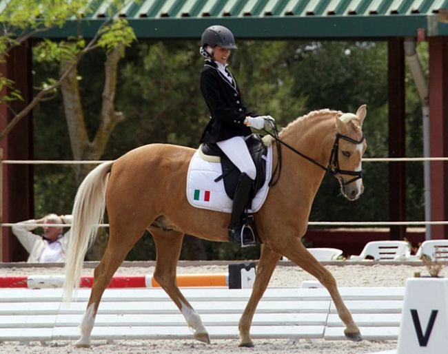 Lisa Bartz and Hemingway B at the 2018 CDI Cascais :: Photo © Rui Pedro Godinho