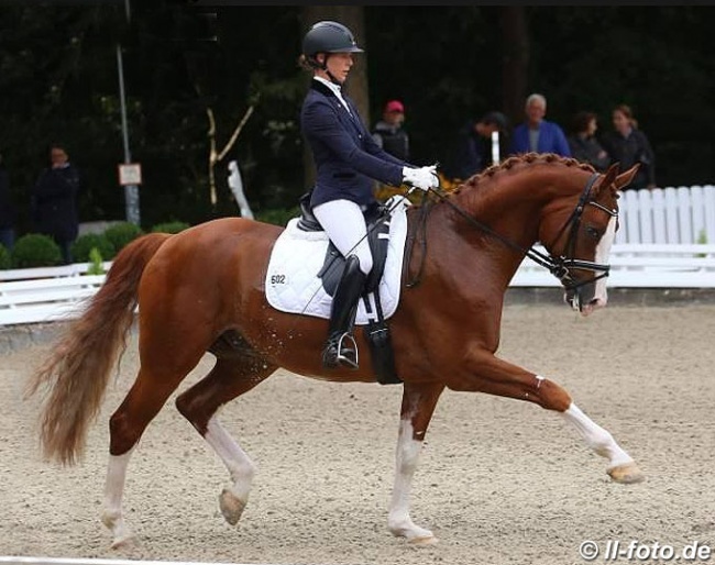 Lydia Camp with Leo Löwenherz at the 2017 Bundeschampionate :: Photo © LL-foto