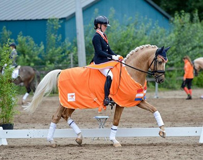 Kim Noordijk and Don Davino win the 6-year old division at the 2018 Dutch Young Pony Championships :: Photo © Arlette Beukenkamp