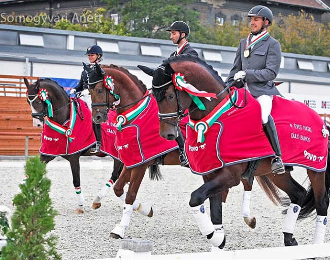 Hungarian Young Horse Champions For Joy, Jamiroquai and Francois in the lap of honour :: Photo © Anett Somogyvári