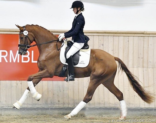 Silje Bakken and Grevens Fakina :: Photo © Ridehesten