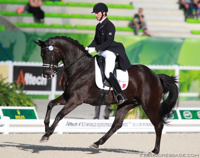 Marc Boblet and Noble Dream at the 2014 World Equestrian Games in Caen :: Photo © Astrid Appels