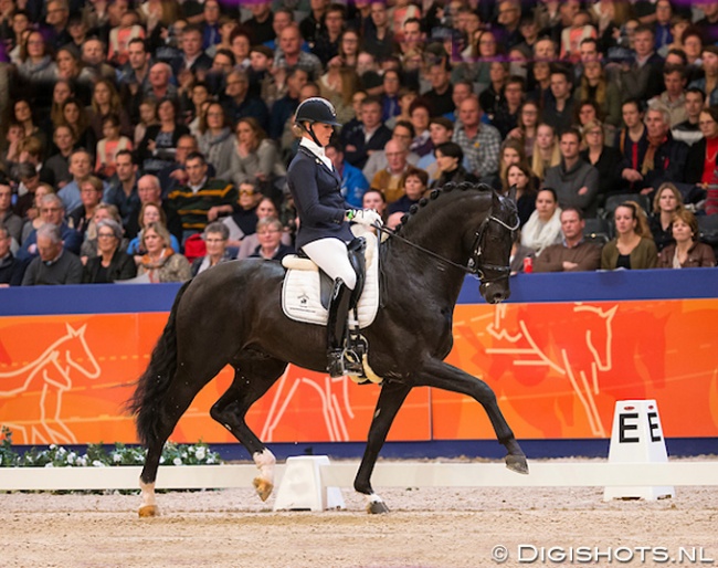 Joyce Lenaerts and Fellini at the 2015 KWPN Stallion Licensing :: Photo © Digishots