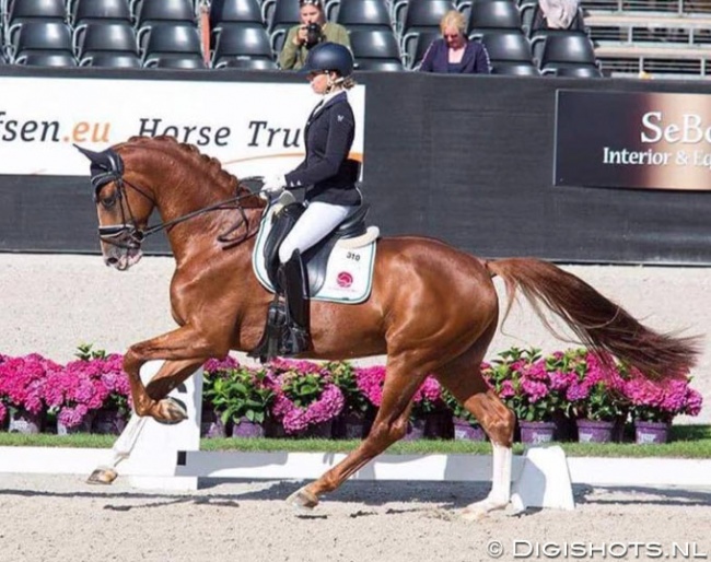 Annemiek van Venrooij and Hotmail V at the 2017 Pavo Cup Semi Finals :: Photo © Digishots