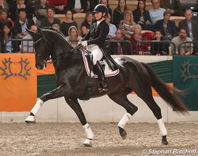 Anne Troensegaard and Kipling at the 2017 German Trakehner Licensing :: Photo © Stephan Bischoff