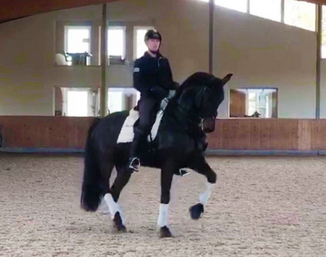 Ruoste on one of his new future Grand Prix stars, the 8-year old BWP gelding Kontestro