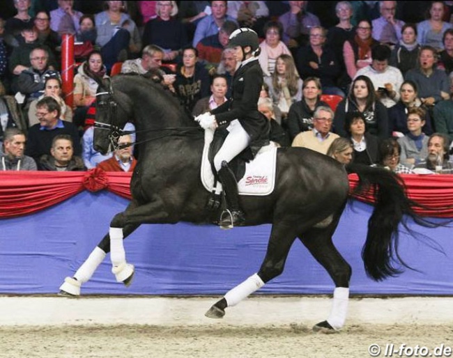 Simone Pearce and Bernay at the 2018 Oldenburg Althengst Parade :: Photo © LL-foto